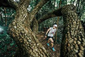 BIB: 
                            <button type="button" onclick="openModal(25392647)" class="btn btn-primary btn-sm float-right btn-popup" data-toggle="modal" data-target=".modal-high-quality">
                        <i class="fas fa-shopping-cart"></i> Add to Cart
                    </button>
                                            <button type="button" onclick="isThisMe(25392647, true)" class="btn btn-success btn-sm float-right btn-popup btn-isme hidden" data-toggle="tooltip" data-placement="bottom" title="นี่คือรูปของคุณใช่ไหม คลิกที่นี่เพื่อเอาเข้าอัลบั้ม">
                        <i class="fas fa-plus"></i> Add to album
                    </button>
                    <button type="button" onclick="isThisMe(25392647, false)" class="btn btn-warning btn-sm float-right btn-popup btn-isnotme hidden">
                        <i class="fas fa-ban"></i> Remove from album
                    </button>